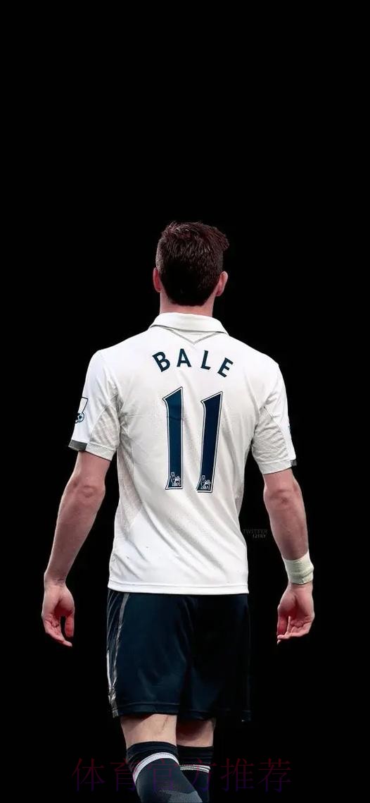 威尔士主帅：为贝尔被称寄生虫而震惊